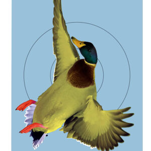Birchwood Casey 35407 Pregame Duck Paper Hanging Rifle/Shotgun 12" x 18" Impact Enhancement 8 Per Pkg