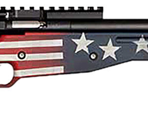 Crickett KSA2150-OG Precision Full Size 22 LR Single Shot 16.10" Blued Threaded Bull Barrel, Blued Crickettinny Rail Steel Receiver, Old Glory Synthetic Adj LOP Stock