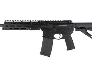 DBF DB15 SBR 556NATO 11.5" 30RD BLK