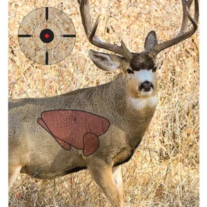 Birchwood Casey 35402 Pregame Mule Deer Paper Target 16.50" x 24" 3 Per Pkg