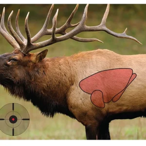 Birchwood Casey 35404 Pregame Elk Paper Target 16.50" x 24" 3 Per Pkg