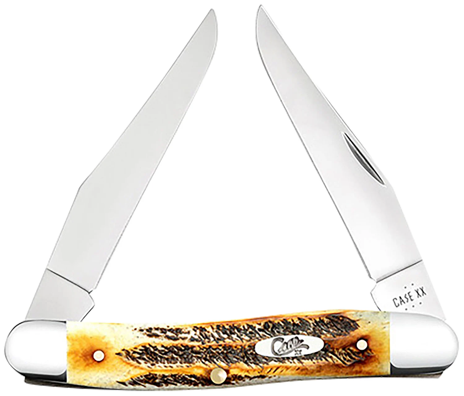Case 65346 Muskrat 2.90" Folding Clip Point Plain Polished Tru-Sharp SS Blade, Burnt Dark Amber 6.5 BoneStag Handle
