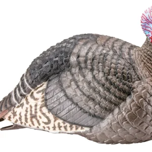 HS Strut 100003 Strut-Lite Jake Wild Turkey Species Multi Color Synthetic