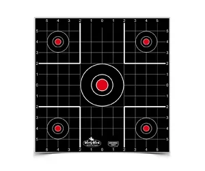 B/C DIRTY BIRD SIGHT IN TGT 12-12"