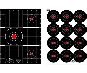 B/C DIRTY BIRD COMBO TARGETS 12PK