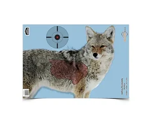 B/C PREGAME COYOTE TGT 3-16.5X24