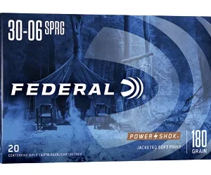 FED PWRSHK 3006 180GR SP 20/200