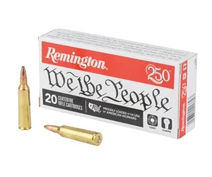 REM WE THE PEOPLE 22-250REM 55GR HPR
