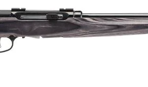 SAVAGE ARMS A17 TARGET 17HMR BL/LAM 22"