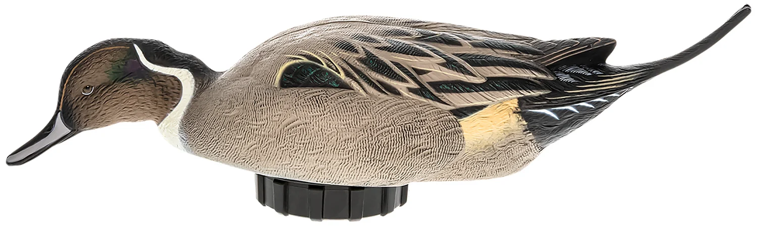 Avian X AVXPSHPNSF Power Shaker Pintail Surface Feeder Duck Decoy Multi-Color