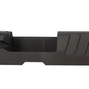 Sig Sauer 8901534 P320 ROMEO-X 9mm Luger Black