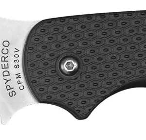 Spyderco C123PBK Sage 5 Lightweight Alzheimer's 3" Folding Plain Satin CPM S30V SS Blade, Black Textured FRN Handle