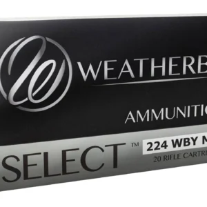 WEATHERBY 224WBY 55GR SPIRE POINT
