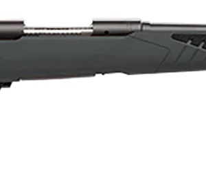 Savage Arms 57062 110 Hunter Full Size 204 Ruger 4+1 22" Matte Black Button-Rifled Barrel, Matte Black Drilled & Tapped Carbon Steel Receiver, Adj AccuStock Matte Gray Synthetic Stock, Right Hand