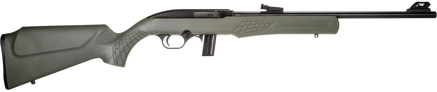 ROSSI RS22 22LR BLK/ODG 18" 10+1