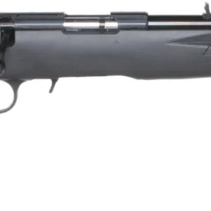 RUG AM RFL RF 22LR 10RD B TB