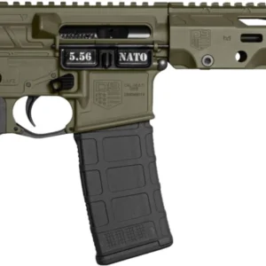 DBF DB15 OBS 5.56 PST 11ODG 30