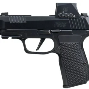 SIG P365 AXG LUXE 380ACP 3.1" - 2-PORT W/ROMEO-X (3)12RD BLACK