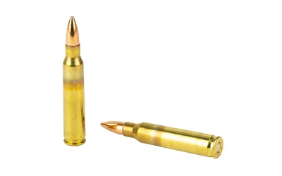 STERLING 5.56 M193 55GR FMJ 30/1500 - Image 4