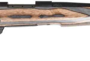 WBY VANGUARD SPIKE CAMP 223REM 20 THRD