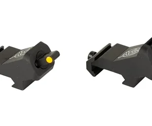 XS XTI2 DXS STANDARD DOT ORN