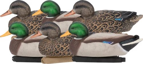ZINK FLOATER DECOYS MALLARD - 6 PACK