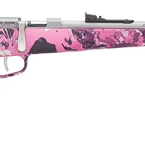 HENRY REPEATING ARMS H5 MINI BOLT G2 22LR SS/MUDDY