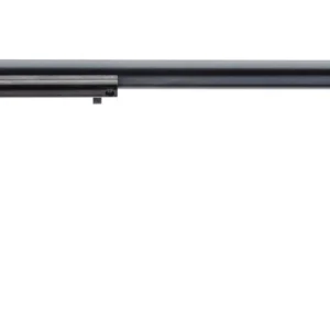 HERITAGE MANUFACTURING RR 22LR BLUE 16" 6RD AS