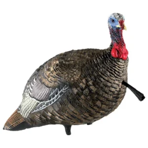 Avian-X LCD Quarter-Strut Jake Turkey Decoy
