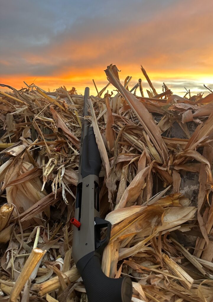 Shotgun in a waterfowl hunting blind at sunrise